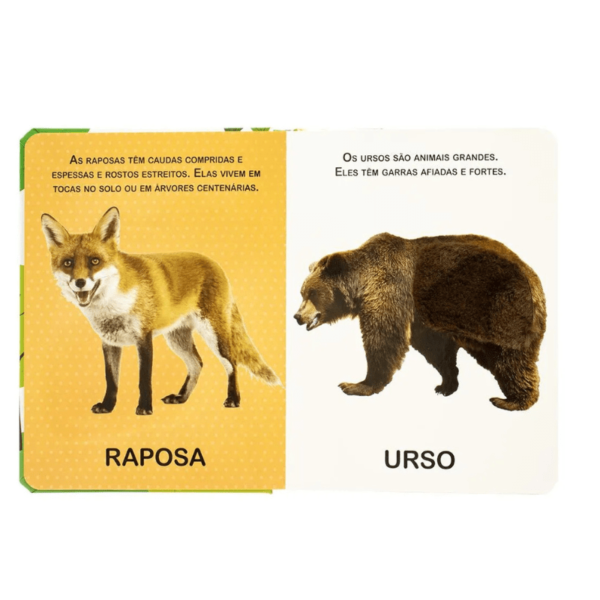 Toque e Sinta: Animais Selvagens - Imagem 2