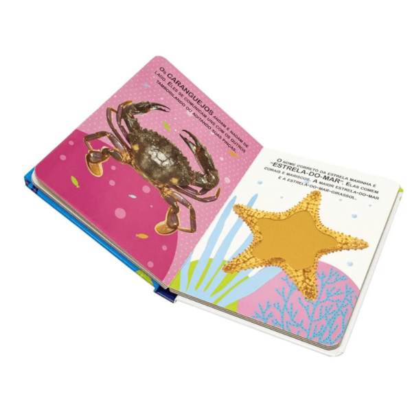 Livro Toque e Sinta - Animais Marinhos - Imagem 3